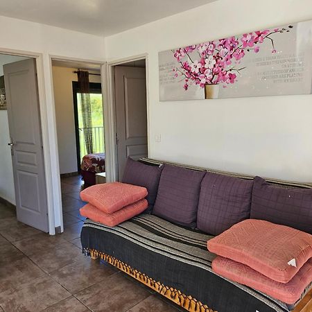 Le Clos Saint Elme Collioure Rom bilde