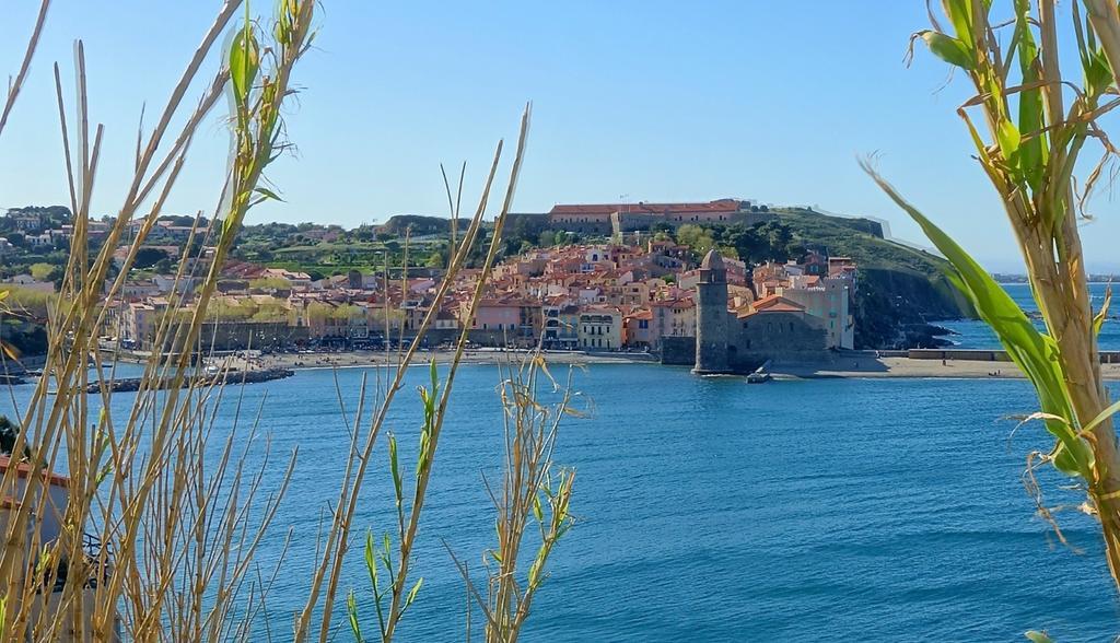 Le Clos Saint Elme Collioure Eksteriør bilde