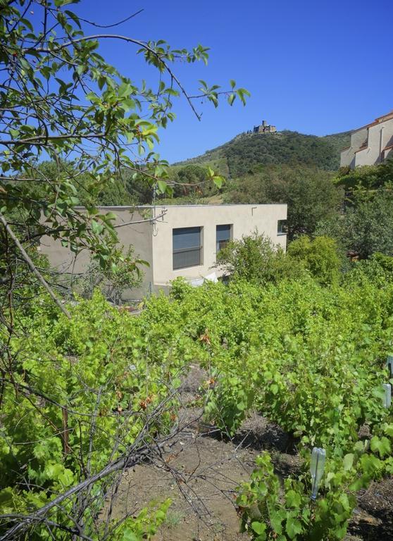 Le Clos Saint Elme Collioure Eksteriør bilde