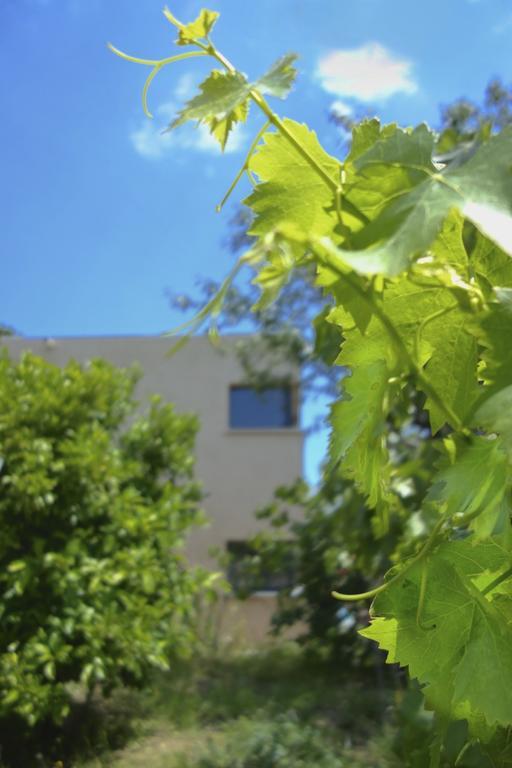 Le Clos Saint Elme Collioure Eksteriør bilde